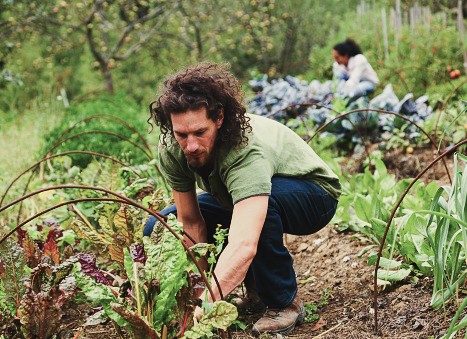 Agricultor regenerativo cuida de uma terra sob guarda, aplicando princípios de permacultura para gerir uma CSA que sustenta a sua família. - Regenerative farmer caring for land under guardianship, applying permaculture principles to run a CSA business that supports his family.